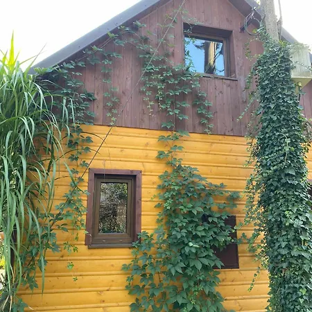Scibor Villa *