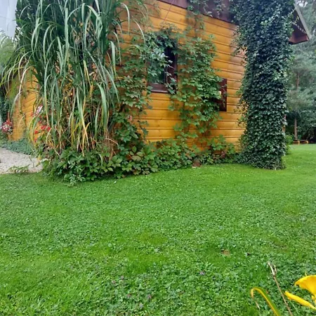ścibór Willa